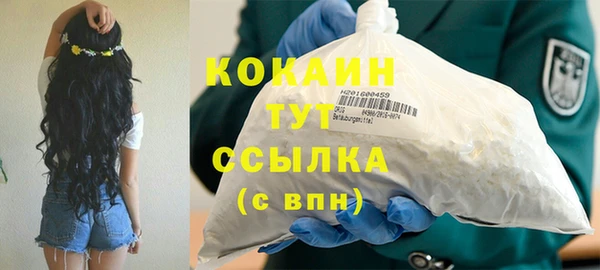 ПСИЛОЦИБИНОВЫЕ ГРИБЫ Ельня