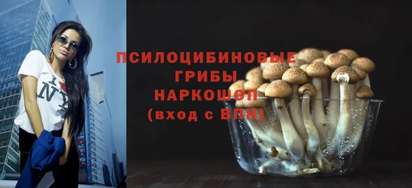 ПСИЛОЦИБИНОВЫЕ ГРИБЫ Ельня