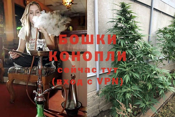ПСИЛОЦИБИНОВЫЕ ГРИБЫ Ельня