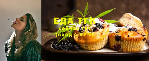 ПСИЛОЦИБИНОВЫЕ ГРИБЫ Ельня