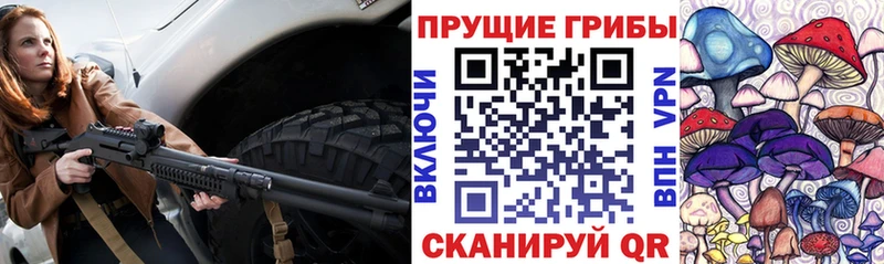 Псилоцибиновые грибы ЛСД  дарнет шоп  Стародуб 